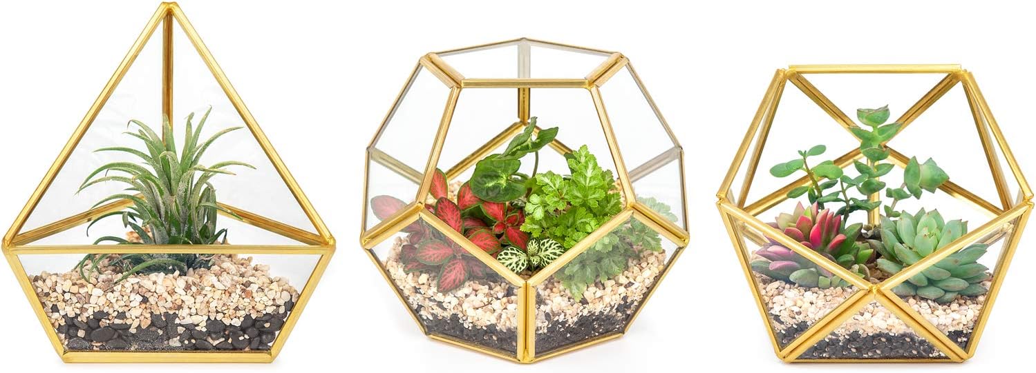 Mkono Mini Glass Geometric Terrarium Container Set of 3 Modern Tabletop Planter Windowsill Decor Shelves DIY Display Box Centerpiece Gift for Succulent Air Plant Miniature Fairy Garden, Gold, 4": Garden & Outdoor