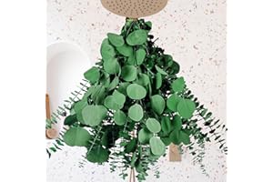 ESLIBIN 14PCS Dried Eucalyptus & Silver Dollar Leaves Bundle - 17" Large Real Eucalyptus Leaves for Shower, Home Decor, Bathroom, Dried Flowers, Christmas Garland