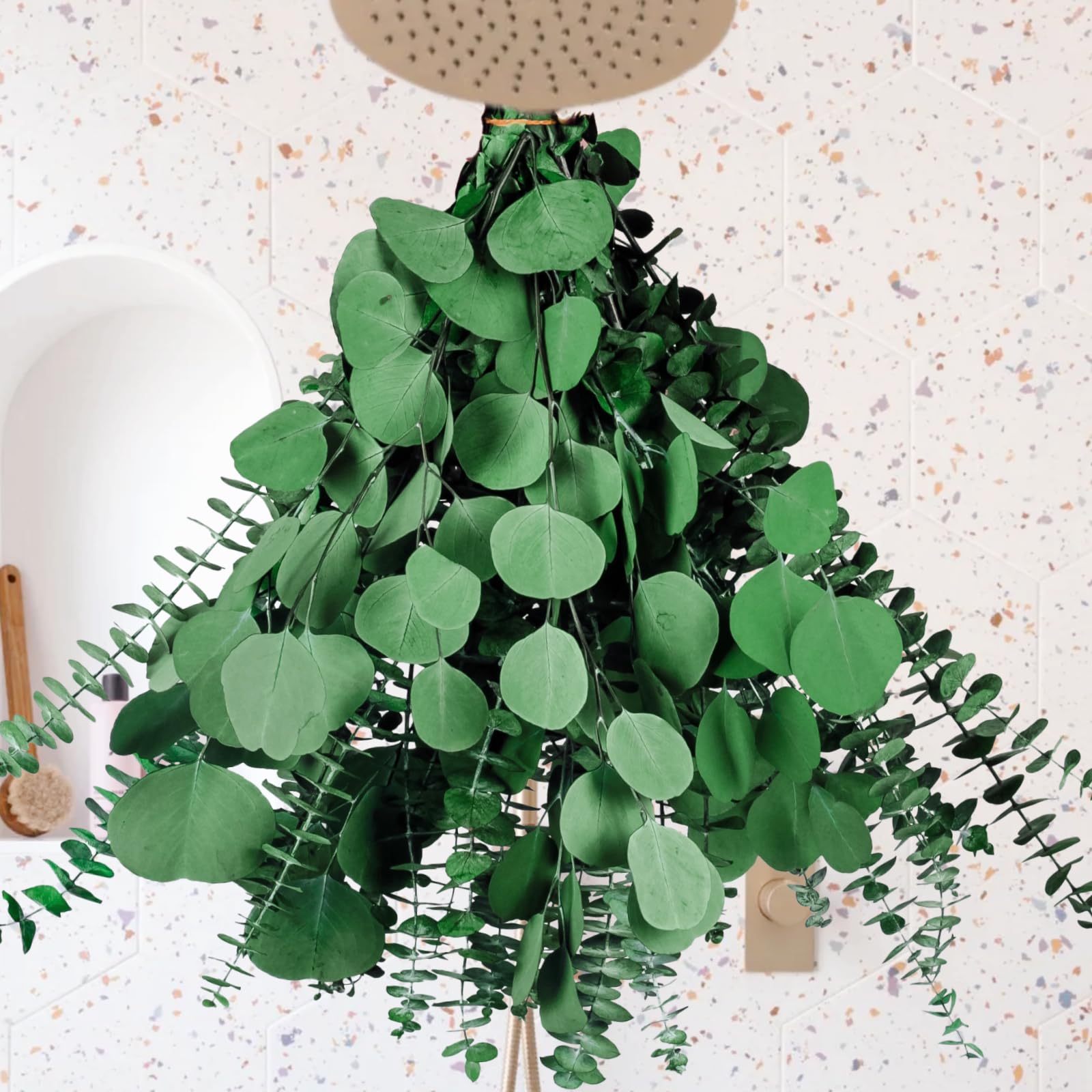 Photo 1 of 14PCS Dried Eucalyptus & Silver Dollar Leaves Bundle - 17" Large Real Eucalyptus Leaves for Shower, Home Decor, Bathroom, Dried Flowers, Christmas Garland