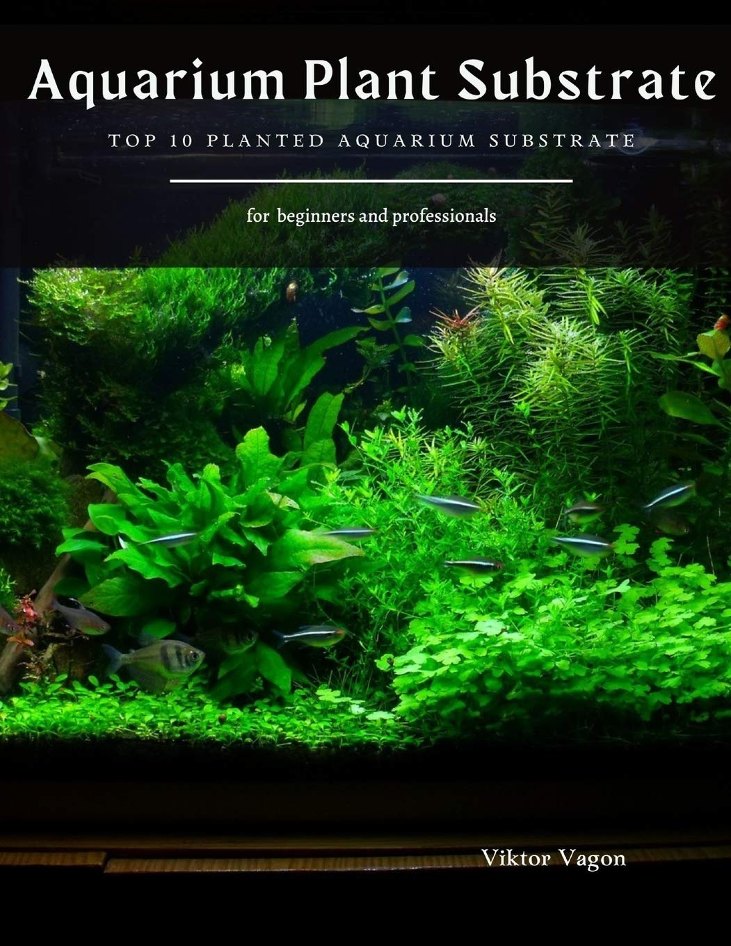 planted aquarium substrate