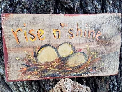 Amazoncom Rise And Shine Sayings Wood Sign Rough Rustic Hand