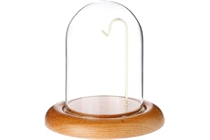 Plymor 3" x 4" Watch Glass Display Dome Cloche