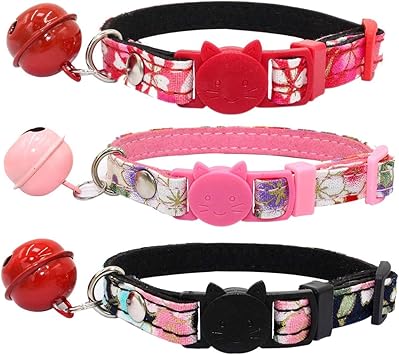 large cat collar