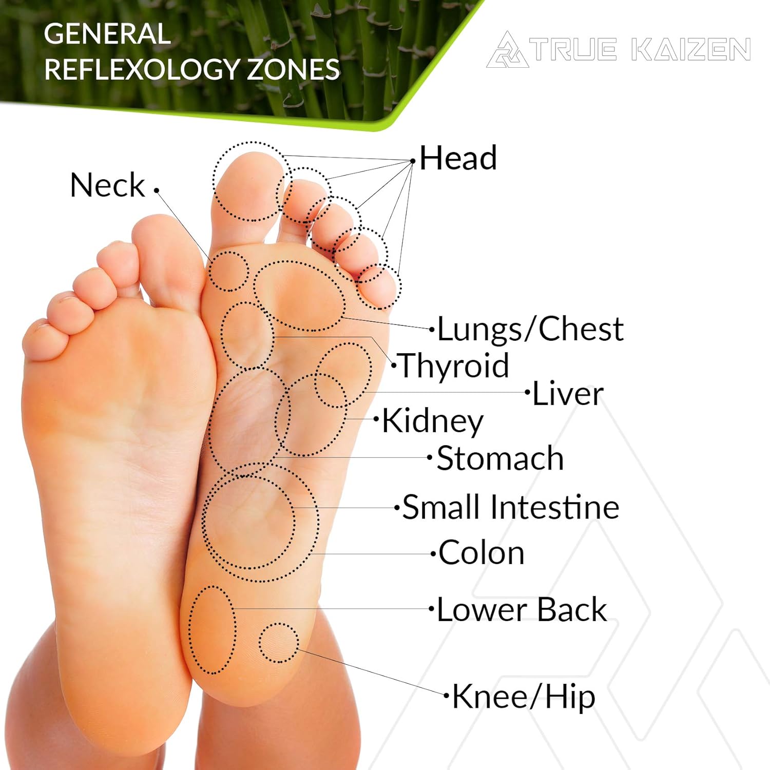 [UPGRADED-2020] True Kaizen Premium Lavender Green Tea Rose & Ginger Foot Patch Pads, 2-in-1 Strong Adhesive, 100% Natural Ingredients - Improve Sleep & Relief - eBook Included – 20 Pack: Health & Personal Care