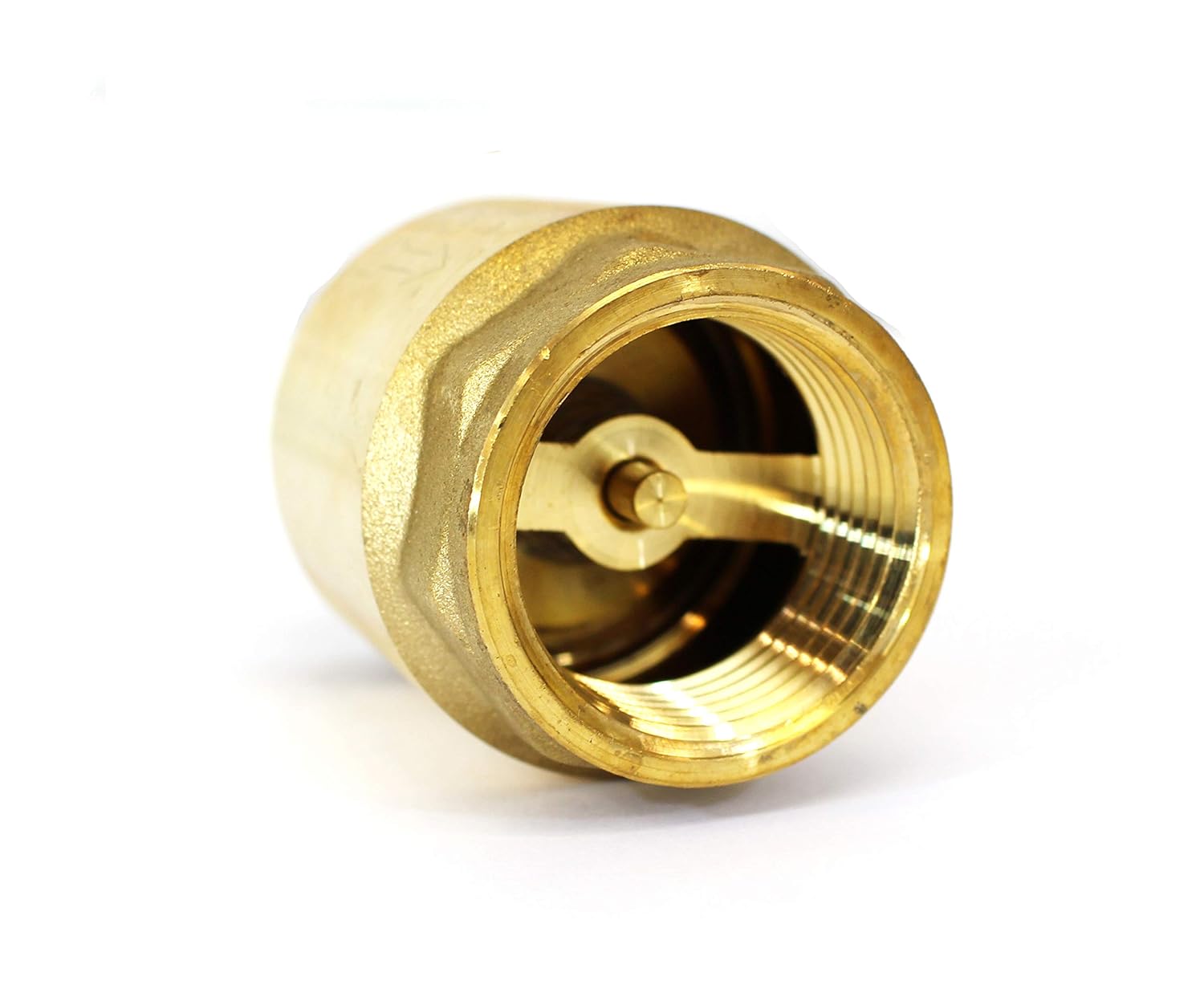 CMI Inc 3/4 Inch Brass Spring Check Valve,3/4 in 3/4 inch X 3/4 in FNPT