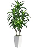 7FT Artificial Dracaena Tree, Fake Tree Indoor with White Tall Planter, Tall Artificial Plants Indoor, Artificial Silk Tree for Home Office Decor Plants Indoor Outdoor (White)