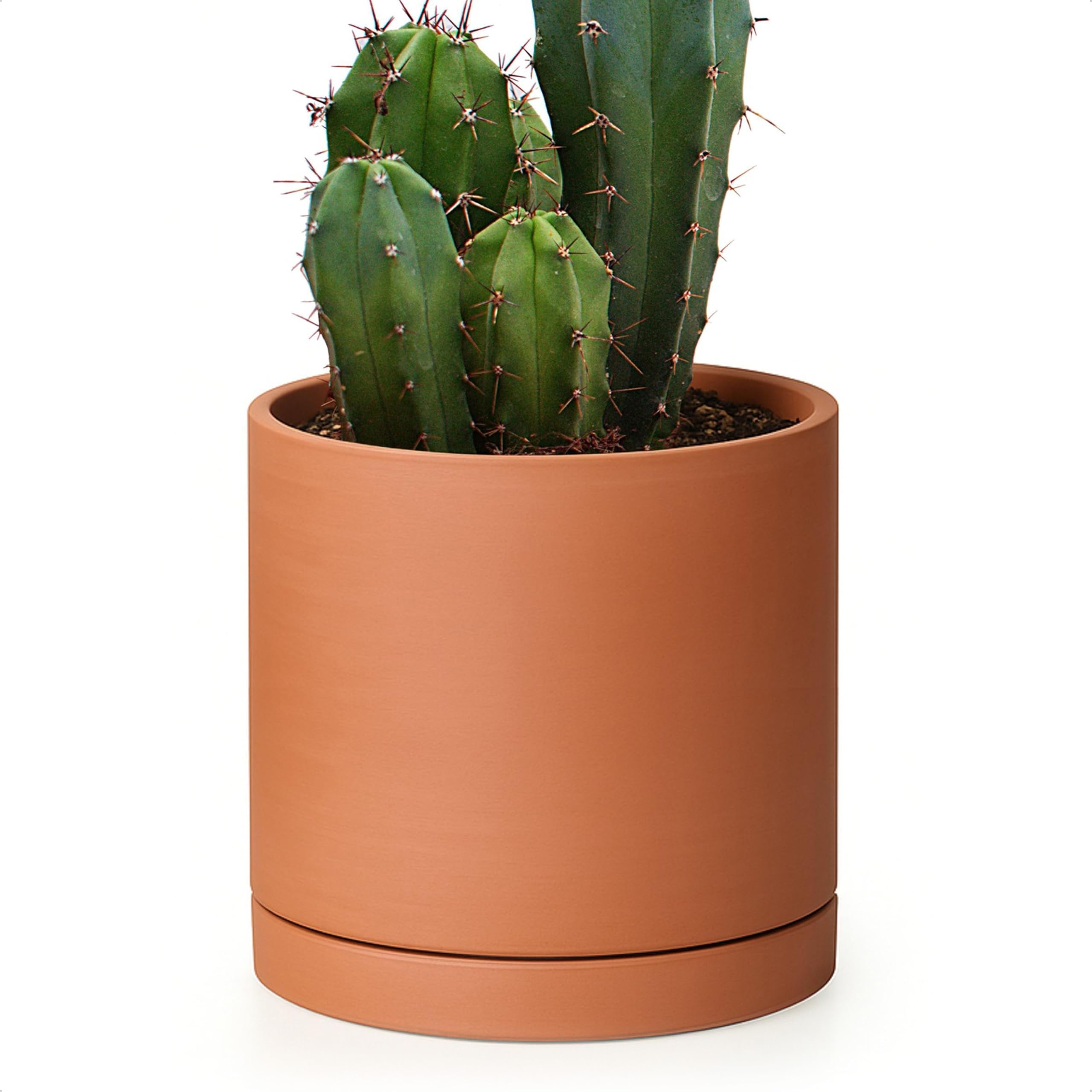 D'vine Dev Small 6 Inch Terracotta Plant Pot with 6 Inch, | eBay