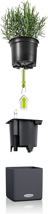 Lechuza Self Watering Plant Pot Green Wall Kit with Water Level Indicator view 7