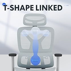 FLEXISPOT ErgoX Premium Ergonomic Office Chair with