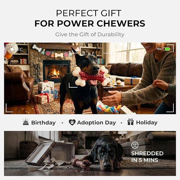 KSEROO 6-PACK INDESTRUCTIBLE DOG TOYS FOR AGGRESSIVE CHEWERS: BEEF FLAVORED HARD NYLON BONE CHEW TOYS, TOUGH DOG CHEW TOYS FOR LARGE DOGS, DOG TOYS TO KEEP THEM BUSY FOR MEDIUM LARGE BREED, RED