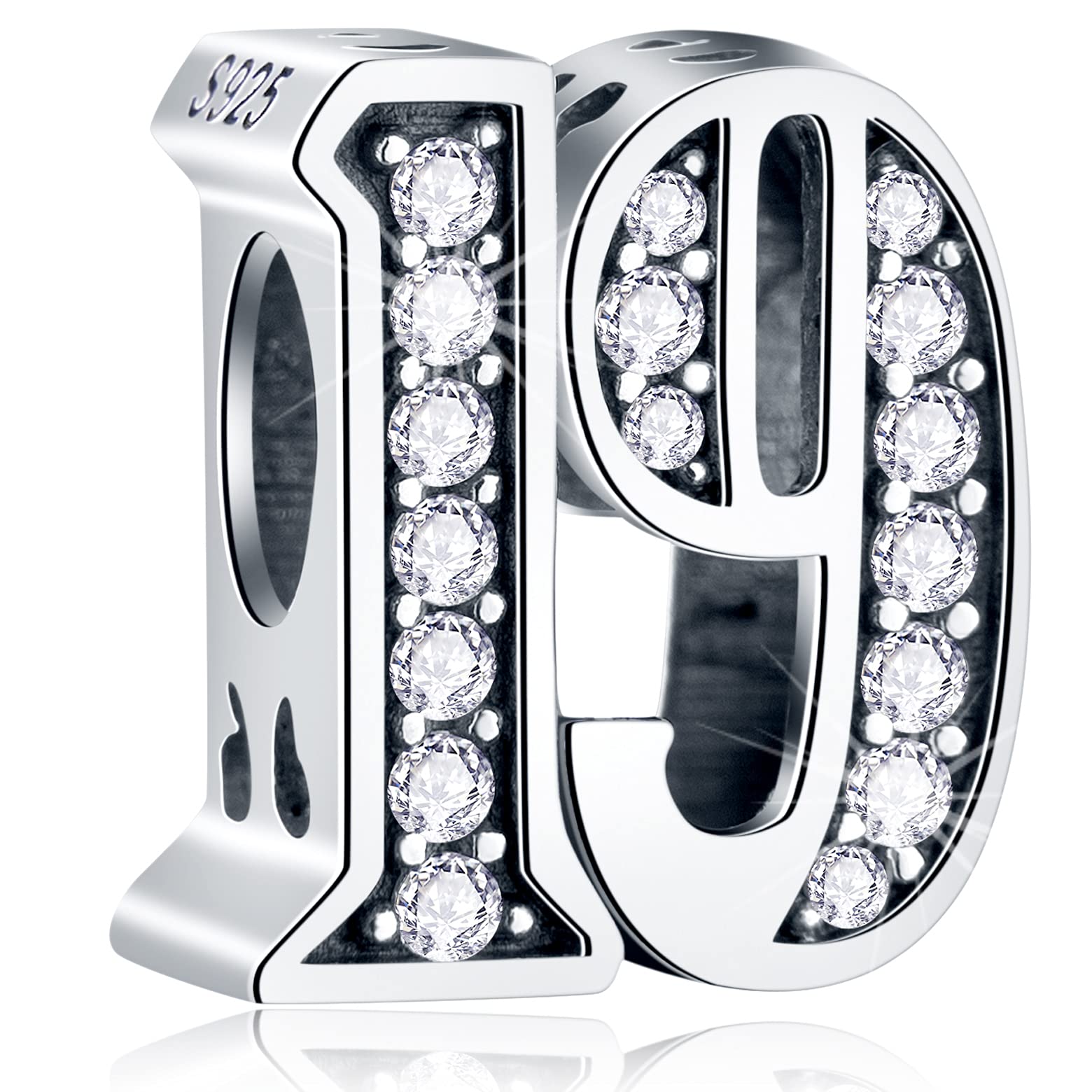 19 Birthday Charms fits Pandora Snake Bracelet, 925 Sterling Silver 19th Anniversary Beads with CZ, Number 19 Year Old of Love Gifts for Girlfriend/Boyfriend/Lover