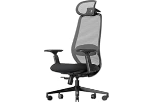 ProtoArc Ergonomic Office Chair with Lumbar Support – EC200 High-Back Mesh Computer Chair, 3D Adjustable Headrest & Sliding S