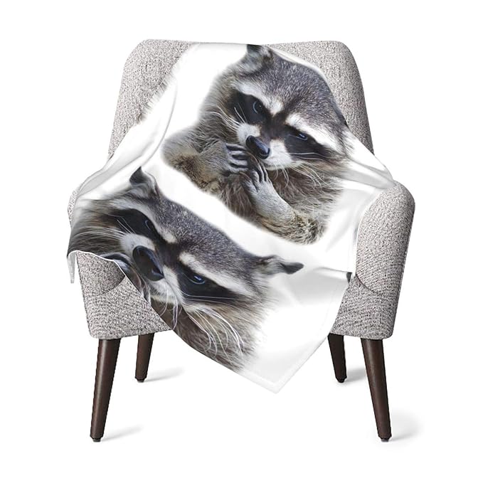 Cute Cuddly Raccoon Baby Blanket Double Super Soft Plush