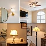 GMY G9 Halogen Light Bulbs 40W 230V 2700K Warm White Dimmable 10 Pack view 6