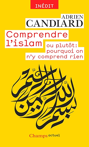 Download Comprendre l'islam: ou plutôt : pourquoi on n'y comprend rien (Champs actuel) PDF