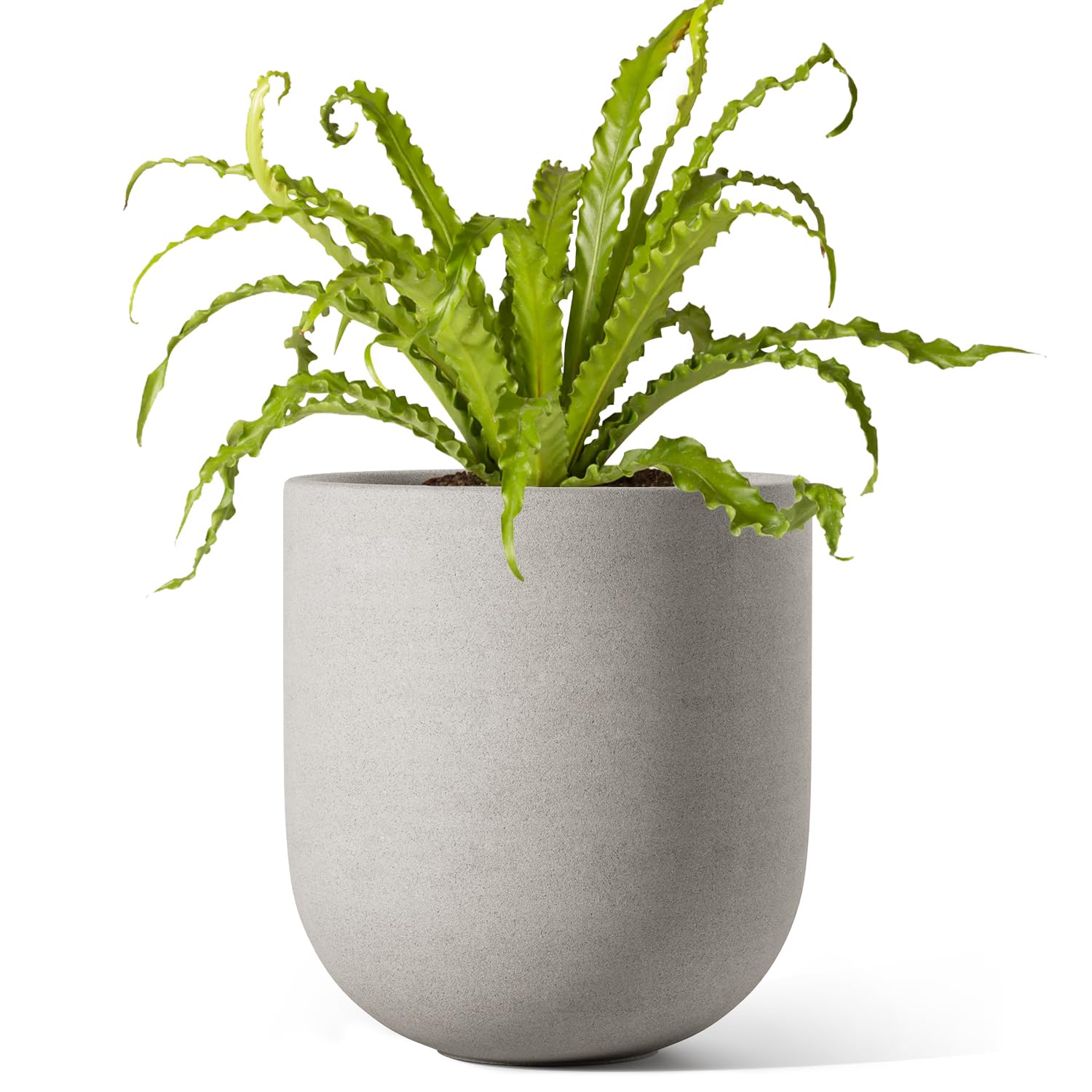 LE TAUCI 6 Inch Plant Pot, Ceramic Pot with Drainage Hole & Rubber Plug, Indoor Planter for Herbs & Small Houseplants, Cylinder Planter for Home Office, Neutral Gray Image