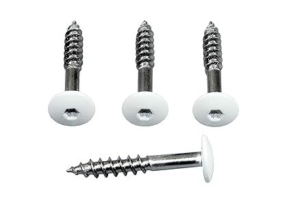 SN-TEC Fassadenschrauben Rostfrei Edelstahl V4A 5,5x35 mm, weiß Pulverbeschichtet RAL 9010 mit Torx T20 Aufnahme (Mengenauswa