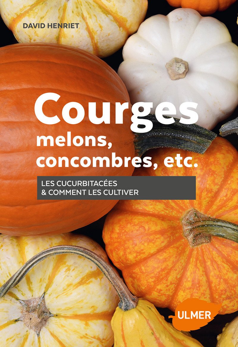 Courges Melons Concombres Etc Les Cucurbitacees Comment