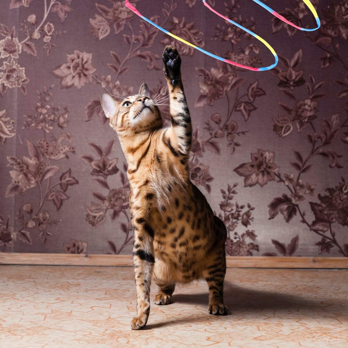 Interactive Cat Toys Rainbow Cat String Toy with Bell, Replaceable Wood Cat Wand with 5PCS Colorful Fabric Ribbon Refills, Safe Cat Catcher Teaser Stick Toy for Kittens Training Pets Exerciser : Pet Supplies