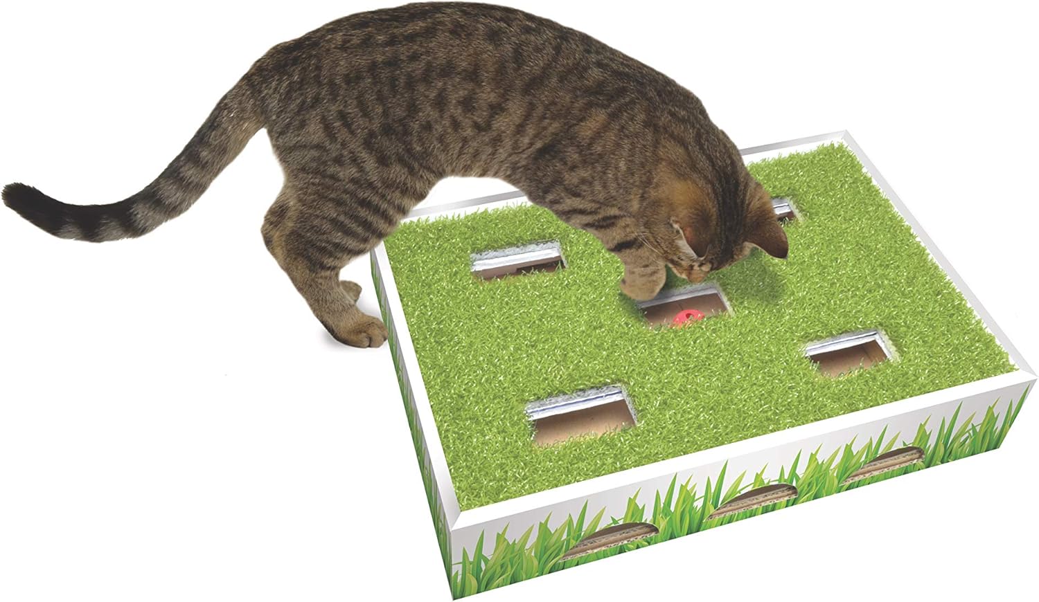 Grass Patch Hunting and Play Box Cat Ball Toy by Petstages : Pet Supplies