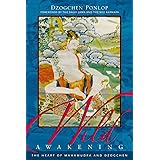 Wild Awakening: The Heart of Mahamudra and Dzogchen