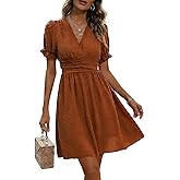 OYOANGLE Women's Spring Fall Swiss Dots V Neck Ruched Short Dress Puff Sleeve Ruffle A Line Dresses