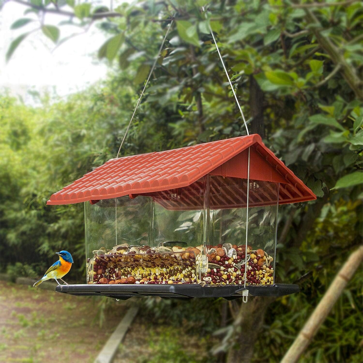 FUNPENY Hanging Wild Bird Feeder, Red Roof Panorama House Bird Feeders and Garden Decoration for Bird Watchers and Children : Garden & Outdoor