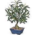 Briful Small Olive Trees Artificial Decor 18'' Fake Olive Plant with Blue Bonsai Pot Decorative Olive Tree for Home Office Countertop Kitchen Table Farmhouse Decor