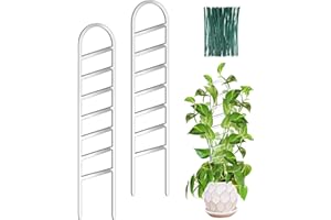 OYOEETD 17.5 Inch Indoor Plant Trellis for Climbing Plants,Plastics Small Garden Trellis for Potted Plants,Plant Stakes for Indoor Plants Accessories,Plant Support Hoya,Flower (Ladder)