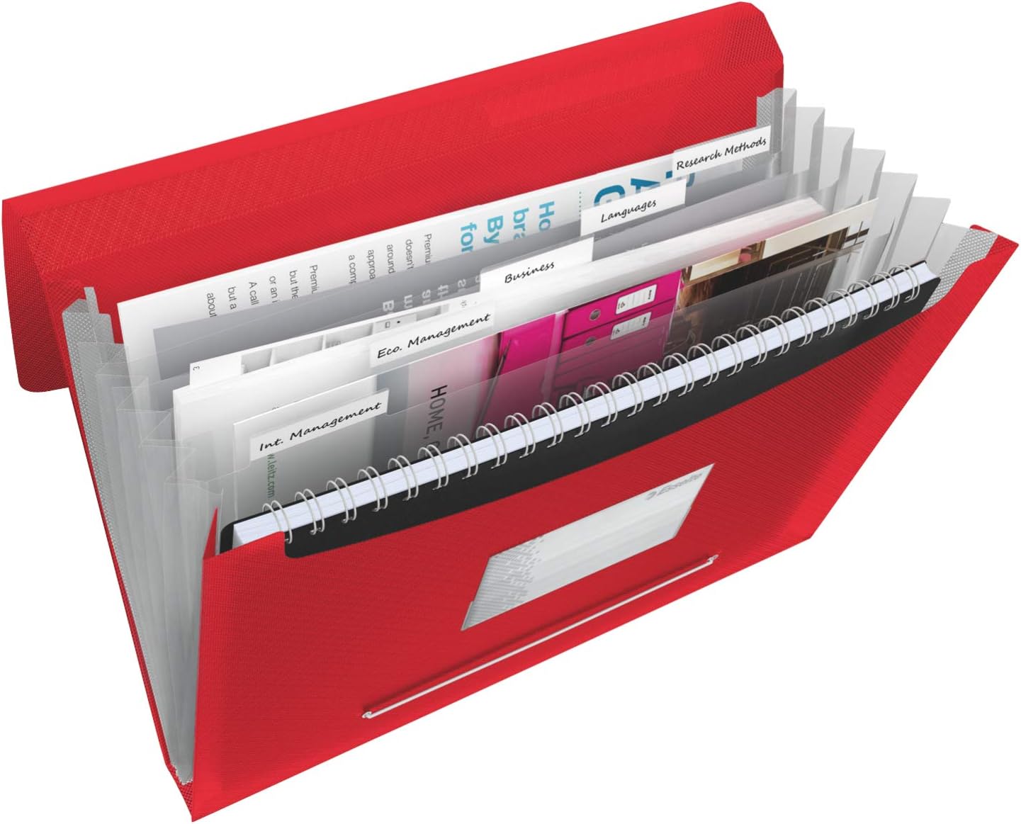 Esselte VIVIDA Ringbuch, A4, VIVIDA Rot (ES-624032