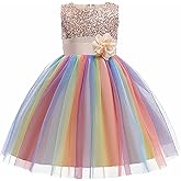 Super Fairy Flower Girls Sequin Mesh Tulle Rainbow Party Dress Princess Lace Ball Gown