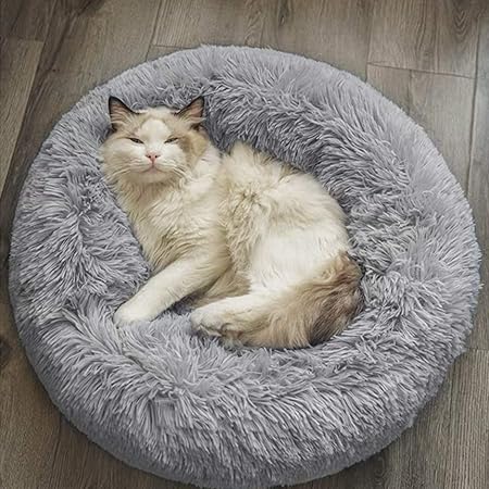 gumtree guinea pig hutch