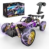 DEERC RC Car W/Metal Shell, Remote Control Monster