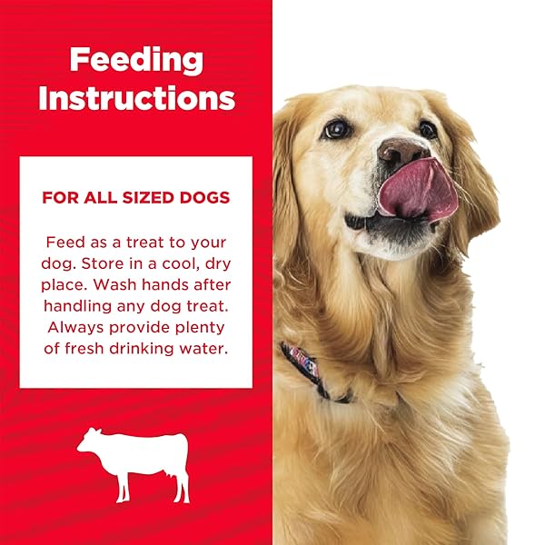 COUNTRY KITCHEN BEEF SOFT CHEW DOG TREATS, GREAT TASTING, MADE WITH REAL BEEF, RICH IN DHA & OMEGA 3, 16 OZ