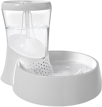 dog throwing up pink foam