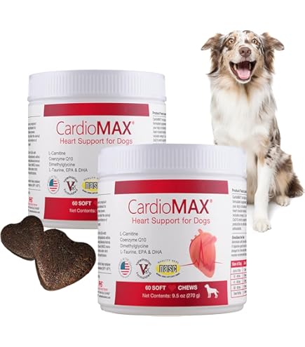 l carnitine dog food JerHigh L-Carnitine Stix Carrot: Buy packet of 100.0 gm Pet Food at best  price in India main image 1