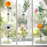 Ninehaoou 10 Pcs Window Propagation Stations Plant Propagation Tubes with Suction Cups Window Floral Water Tubes Easy to Install Clear Wall Hanging Terrarium Gifts for Plant Flower Lovers