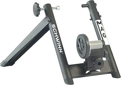 schwinn mag trainer