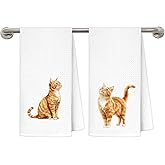 MKIJUHB Orange Cat Kitchen Dish Towels, Orange Tabby Cat Lover Mom Lady Gifts, Cute Kitten Kitty Pet Decorative Hand Tea Towels for Bathroom, 16x24 Inch Set of 2