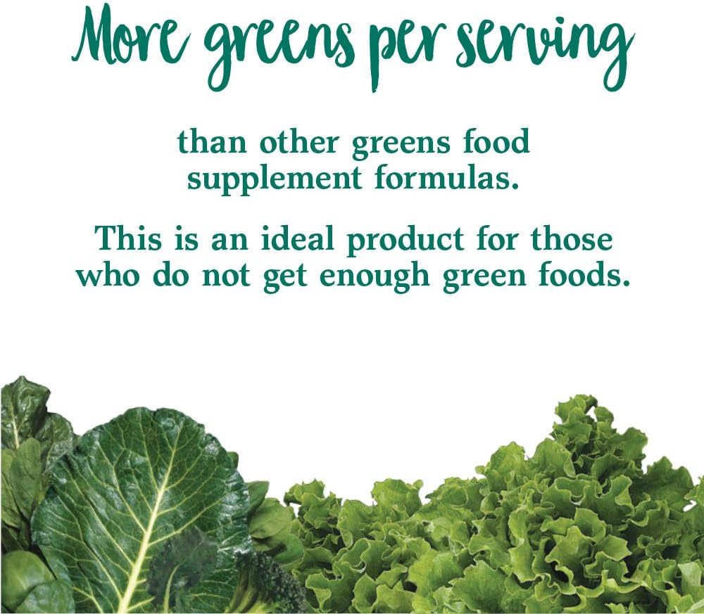 Garden of Life Whole Food Vegetable Supplement - Perfect Food Green Superfood Dietary Powder, 600g: Health & Personal Care