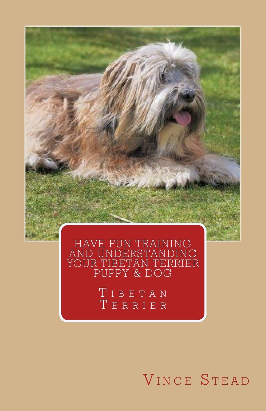 tibetan terrier training