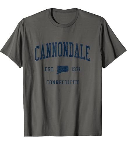Amazon.com: Vintage Sunset Stripes Cannondale, Connecticut T-Shirt