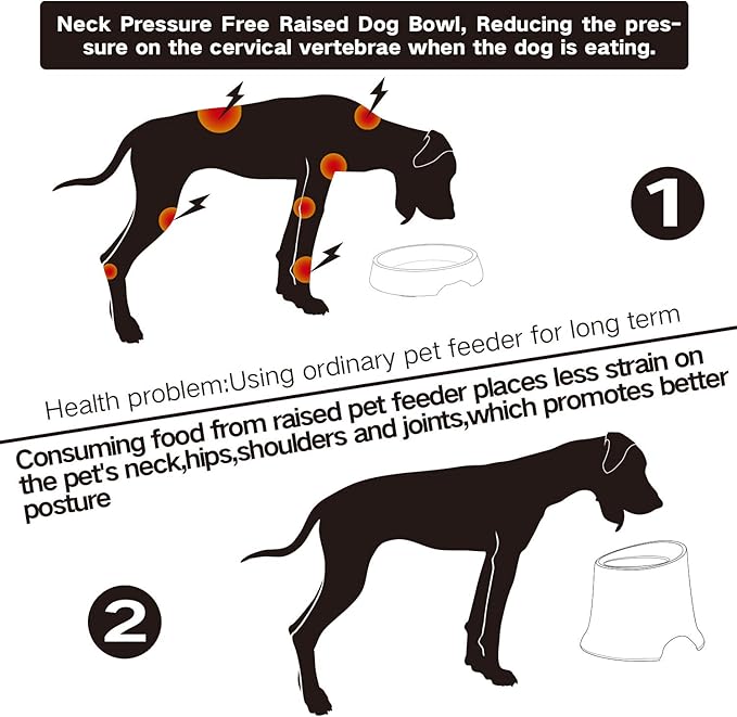 great dane dog feeder