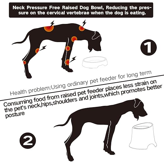 Super Design Raised Dog Bowl Non Spill Elevated Feeding Bowl High
