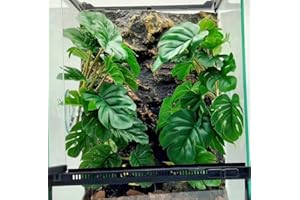 KERUIDENG Reptile Plants for Terrarium Decor, Amphibian Habitat Decor, Snake Tank Accessories, Artificial Hanging Plants with Suction Cup-2 Packs (Fake Monstera)