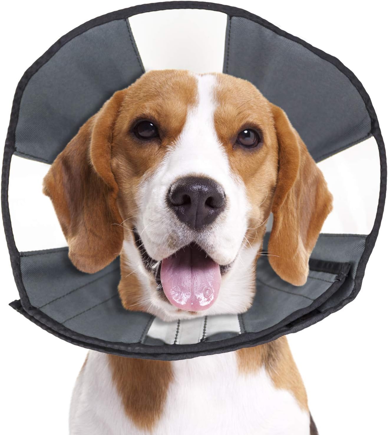 ZenPet ProCone Pet E-Collar for Dogs and Cats - Comfortable Soft Recovery Collar is Adjustable for a Secure and Custom Fit - Easy for Pets to Eat and Drink - Works with Your Pet's Collar - Medium