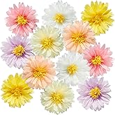 12PCS Colorful Daisy Tissue Paper Pom Poms Daisy Themed Party Decoration Multicolored Flowers Decorations Daisy Hanging Deco for 1st Birthday Baby Shower Wedding Wall Classroom