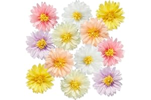 BALUN ADMHAIL 12 Pcs Daisy Tissue Paper Pom Poms Party Decorations Colorful Tissue Flowers Spring Party Decoration Paper Flowers Decorations for Wall Backdrop Garden Wedding Decor