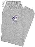 LOGOVISION Houston Christian University Primary