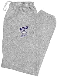 LOGOVISION Houston Christian University Primary